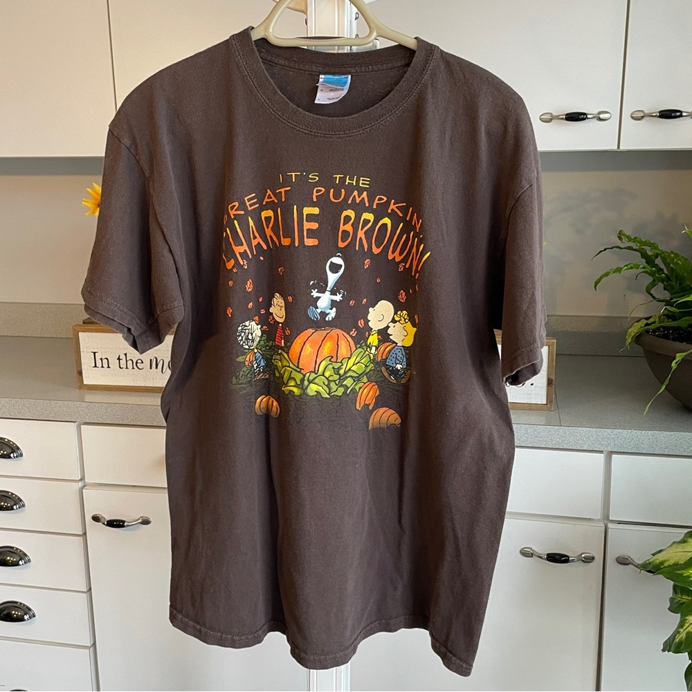 Fall themed Peanuts T-shirt. Size Large